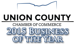 2015 business of the year
