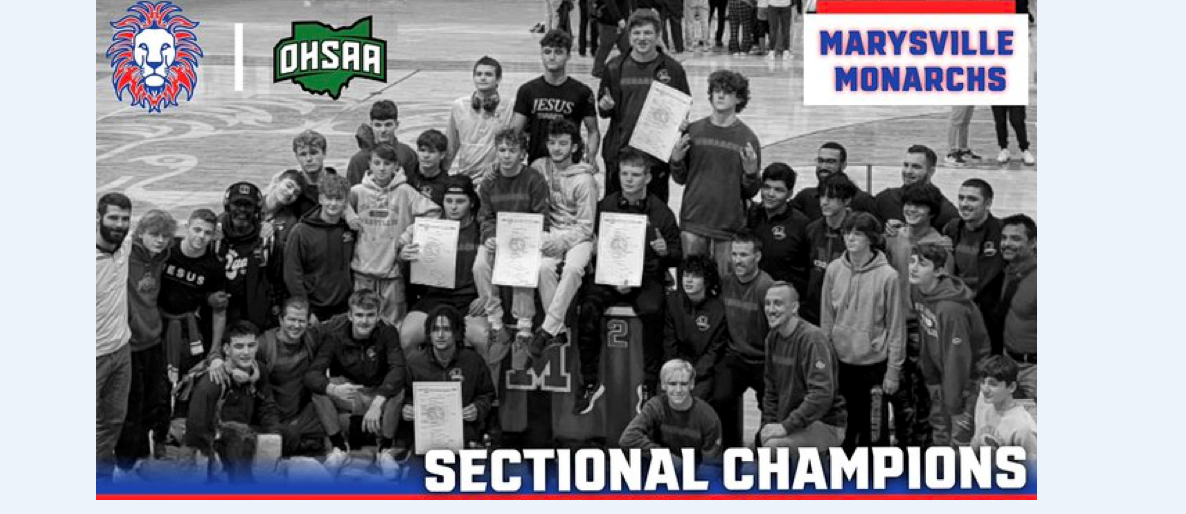 Boys wrestling; sectional champs